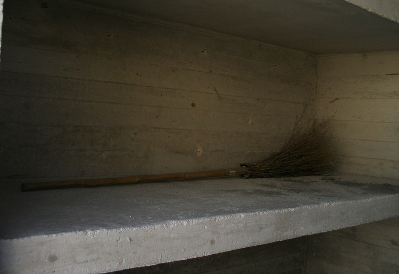 broom skeleton