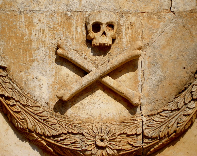 skull
