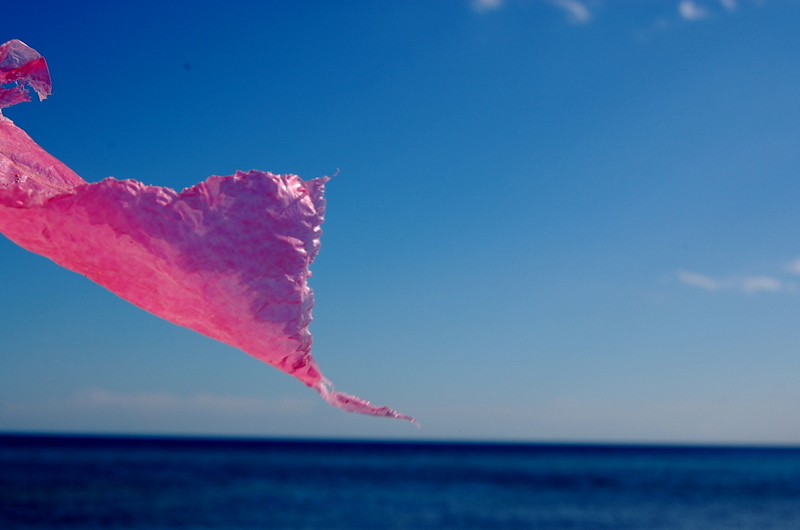 pink plastic