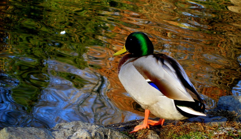 Today, the water is cold