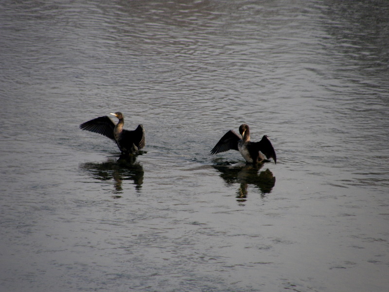 Lago Avigliana - Turin
