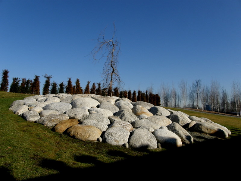 Modern installations of art in nature - Giuseppe Penone