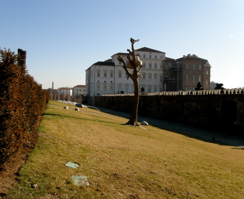 Modern installations of art in nature - Giuseppe Penone
