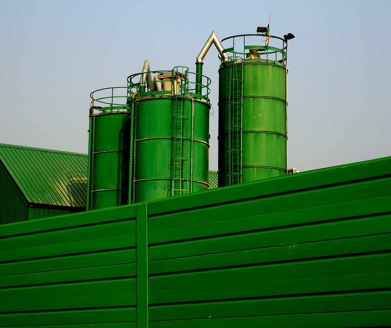 Green landscape