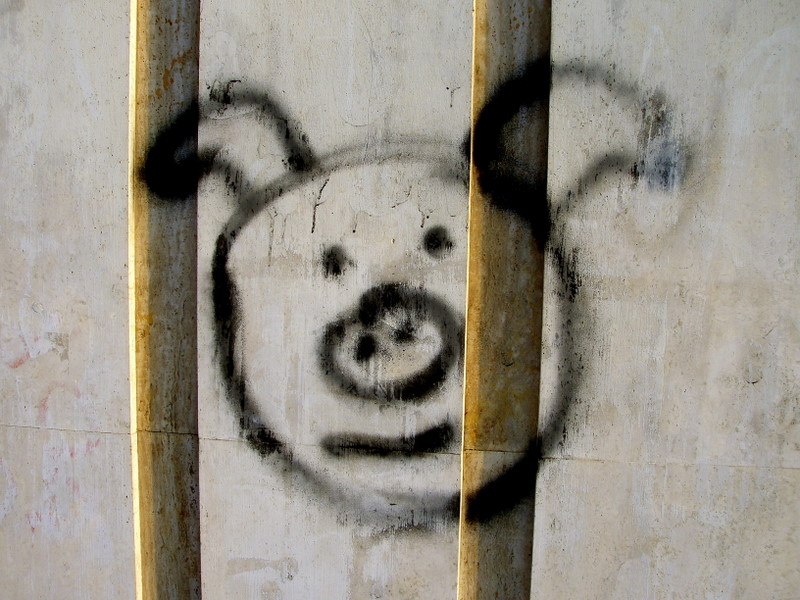 Face on the wall