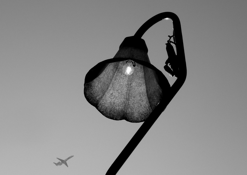 Streetlight road
