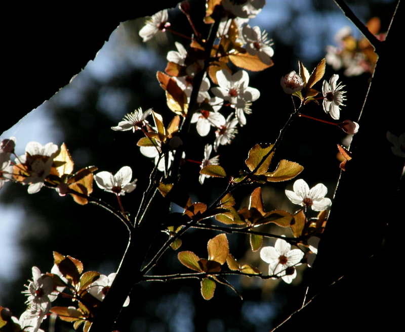 Spring is round