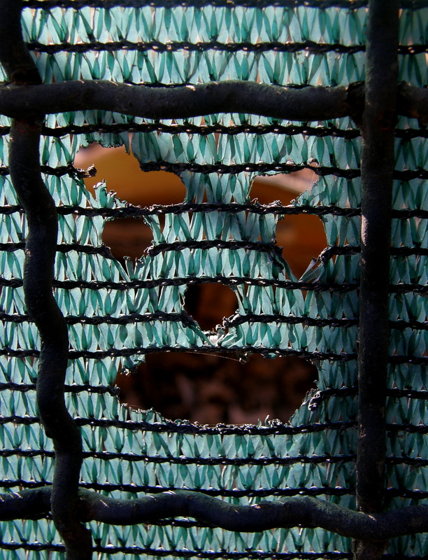 Abstract  face