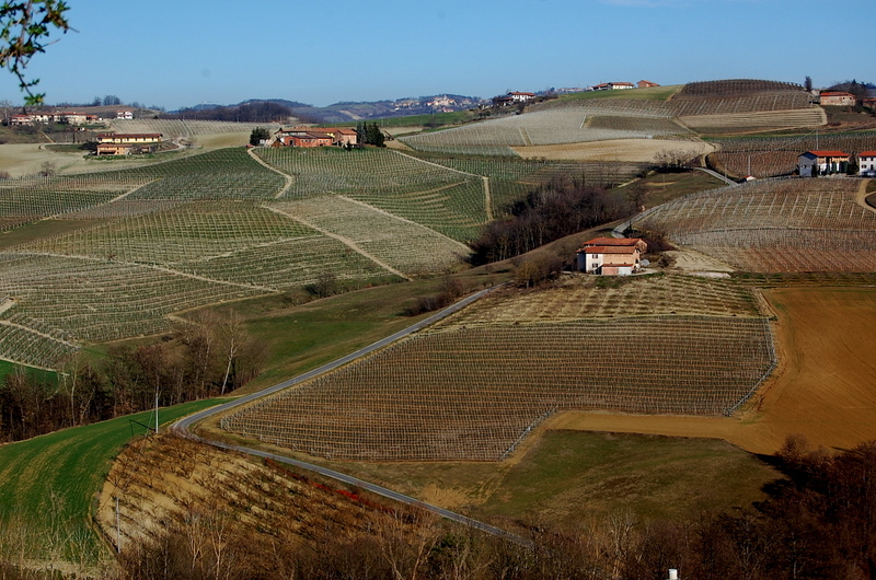 Langhe - Italy