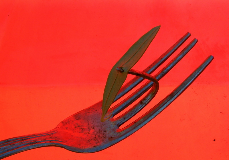 Red fork