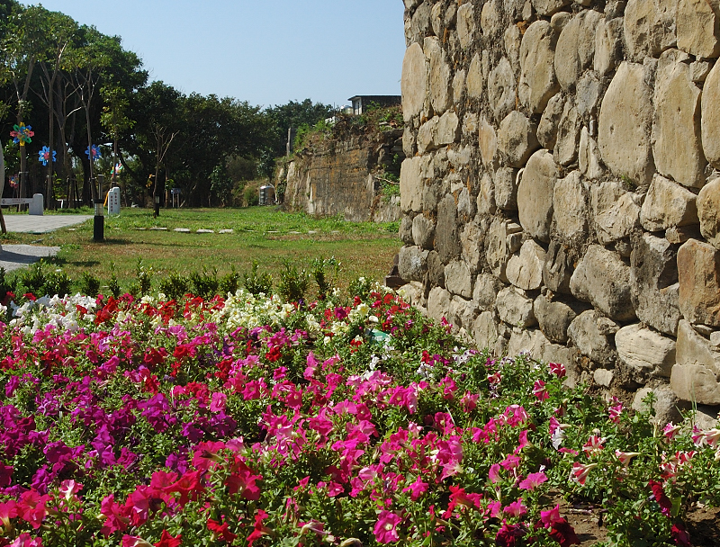 Nov 28 Petunias and City Wall