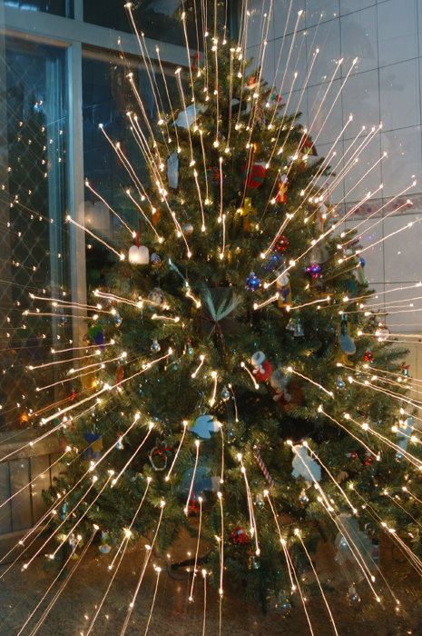 Dec  30   Fiberoptic Christmas tree?