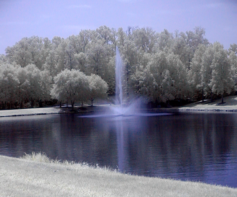 Aug 10  ...cool and refreshing...