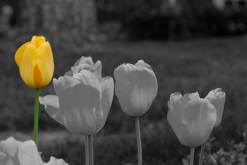 Apr 12  ...theres always one in the crowd....