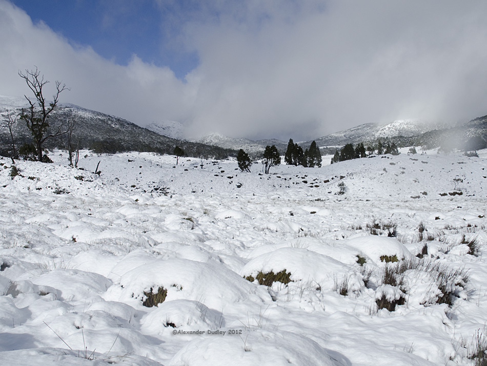 snowfield_5333.jpg