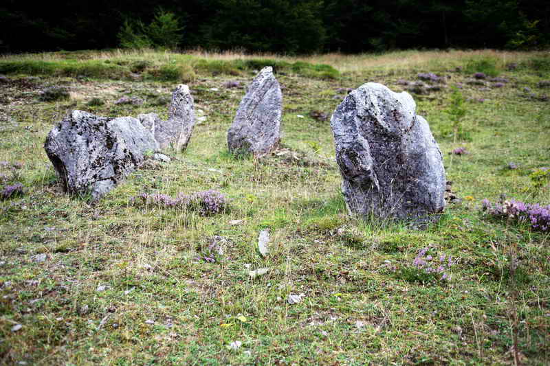 Cromlechs du Brousset