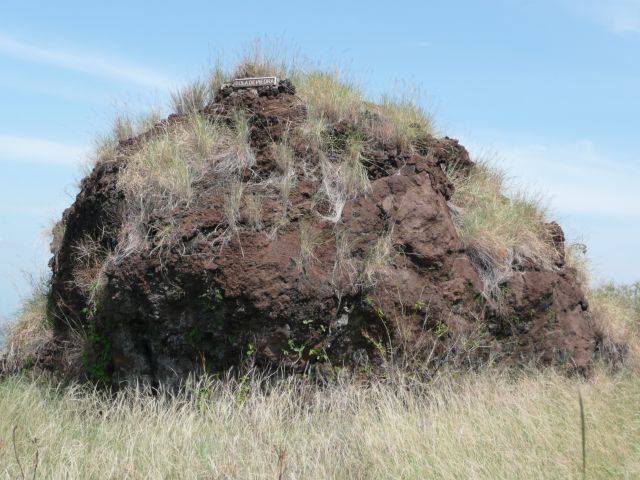 NICA089.jpg
