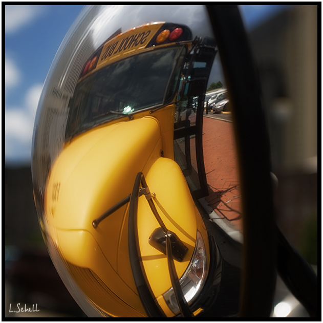 LS1D5658.jpg