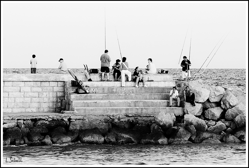 LS1D0542.jpg