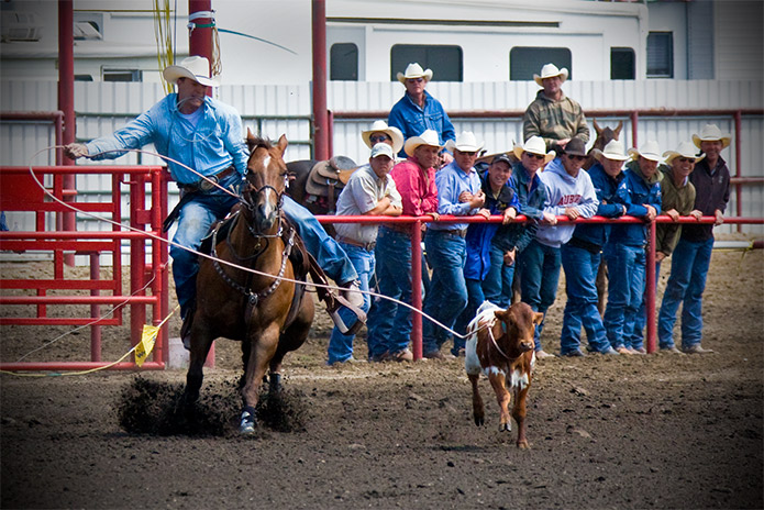 Calf Roping