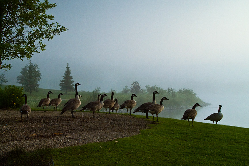 Shooting in the Fog