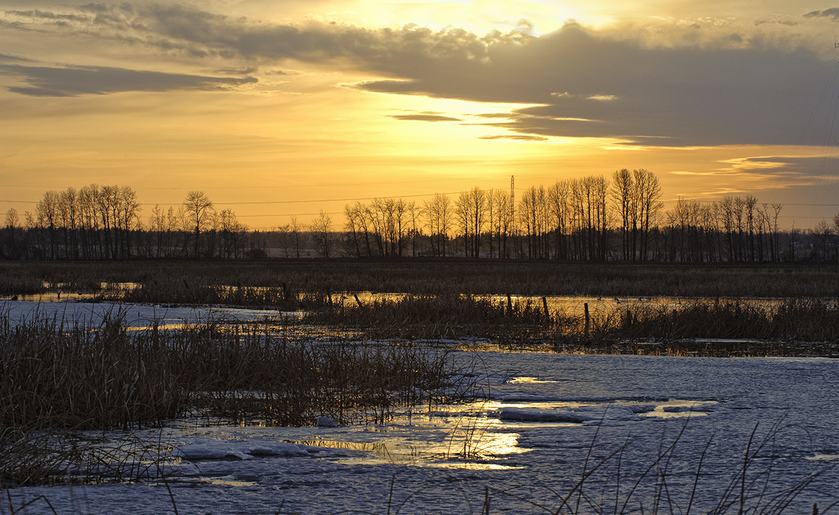 Early Spring Sunset