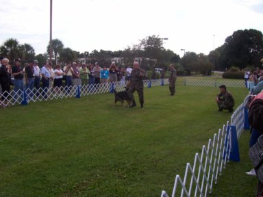 Charleston - 2006 - #16