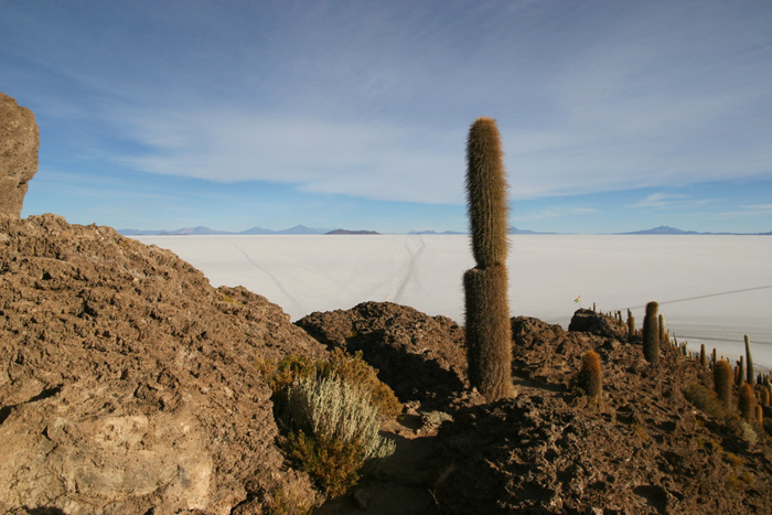 Inca Huas