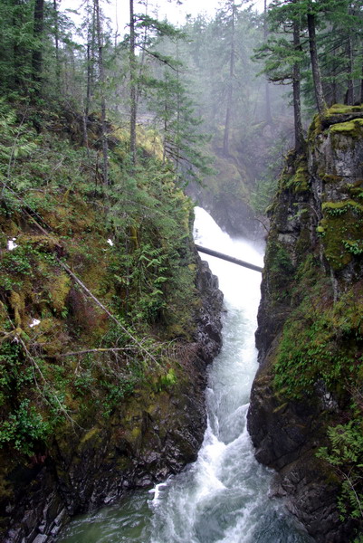 Little Qualicum Falls