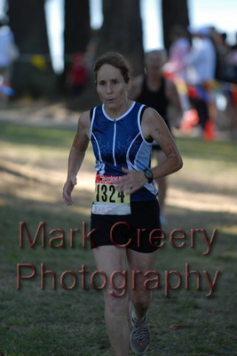 run391.JPG
