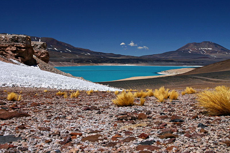 Simply the Best: Highlights of northern Chile and Bolivia