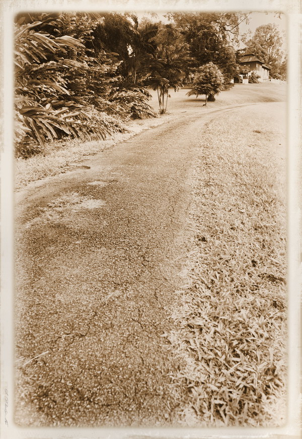 PICT4105.JPG