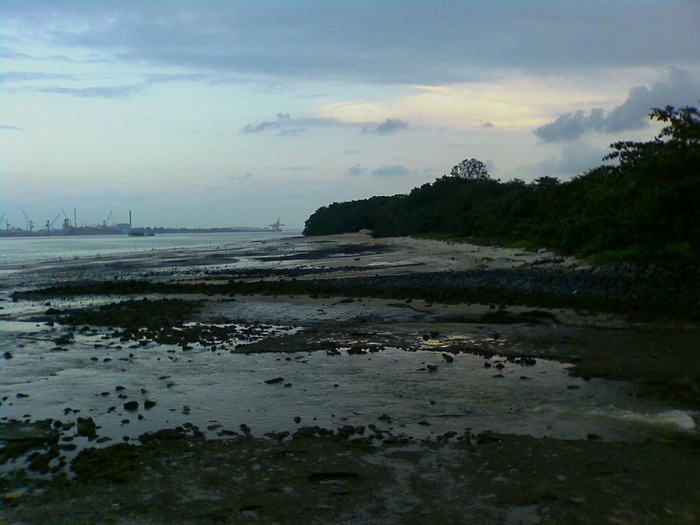 Low tide