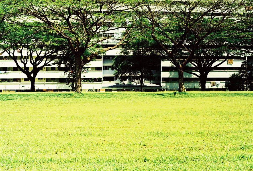 NS8 Marsiling