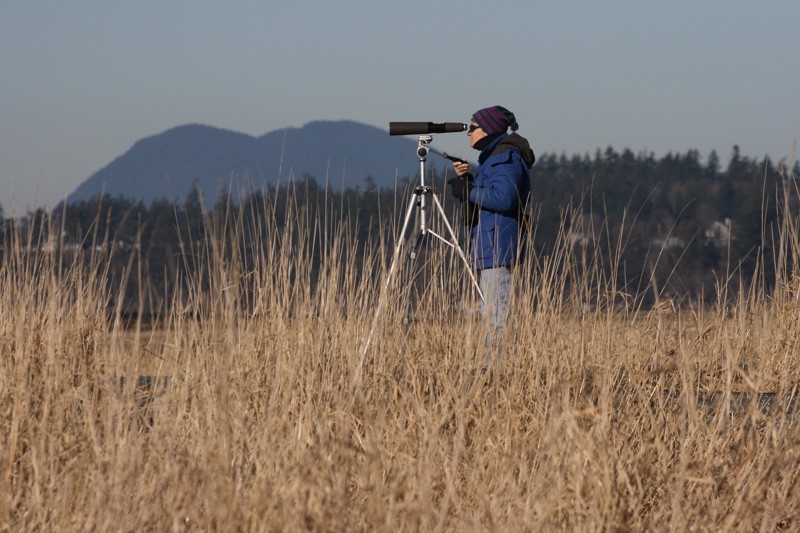 birdwatcher tog.jpg