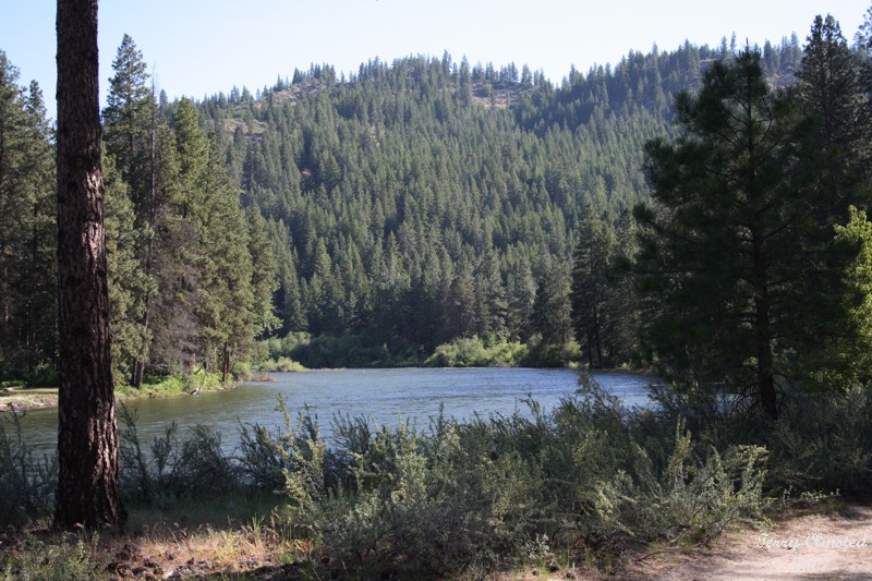 5-29-07 view from the camper 7079 r.jpg