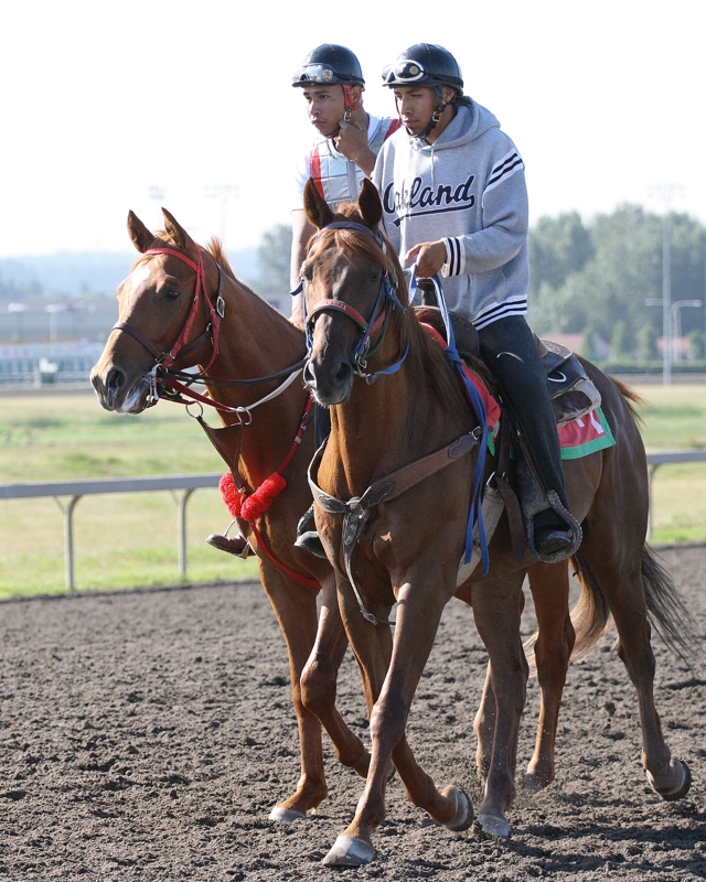 7-27-07 Lanes horse and pony9696.JPG