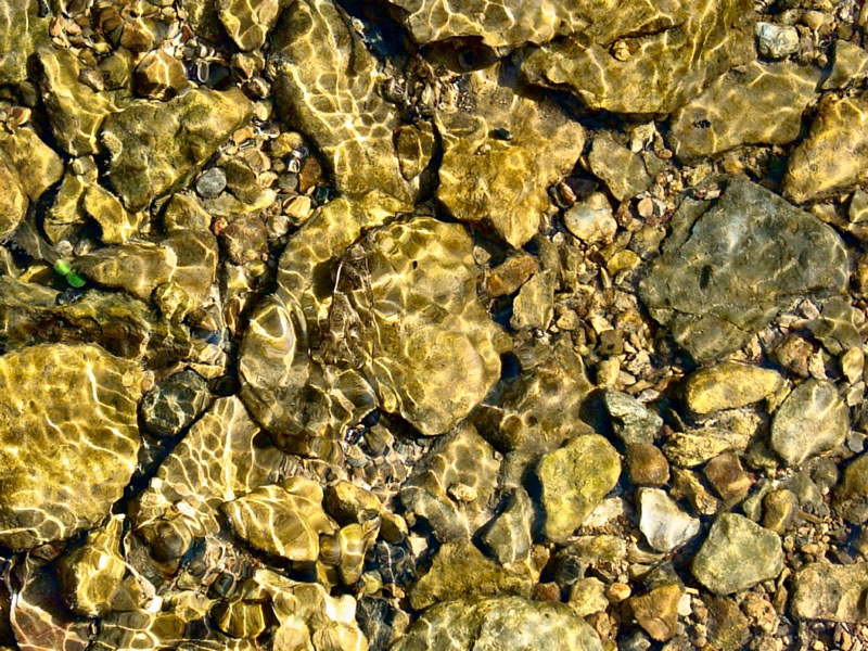 Rocks in the stream