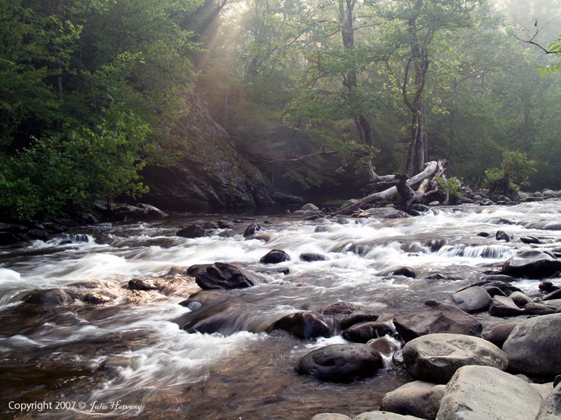 The Little River at the Townsend Wye