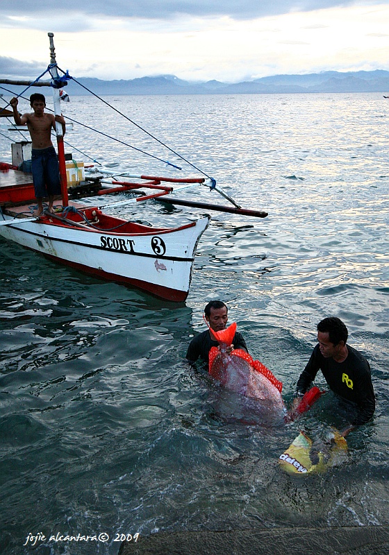 GenSan Fishport Complex