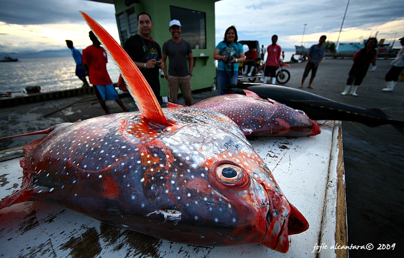 GenSan Fishport Complex