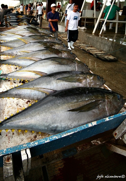 GenSan Fishport Complex