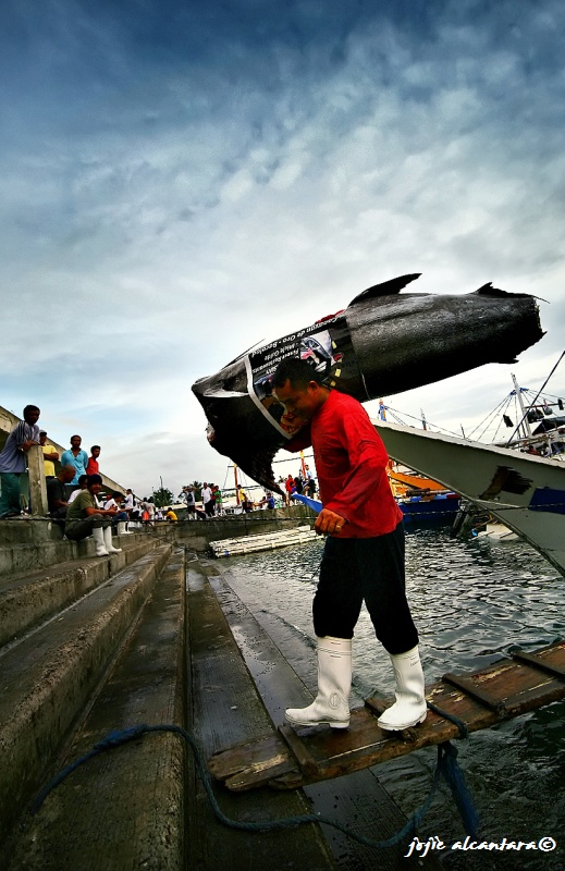 GenSan Fishport Complex