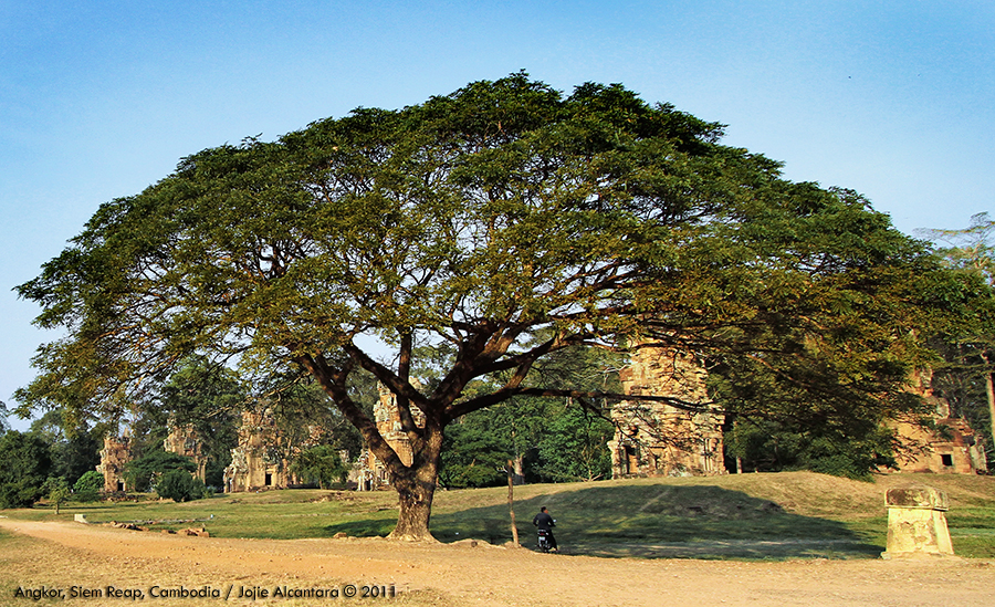 Temple complex in Siem Reap