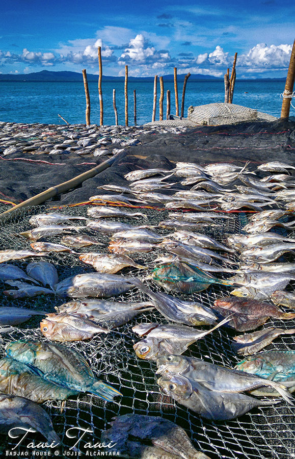 Dried fish on badjao stilts