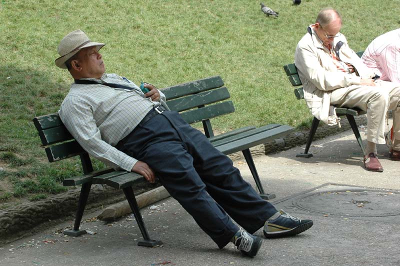 le vieux lion ne dort que dun oeil