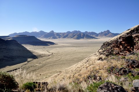 DSC_0726.JPG