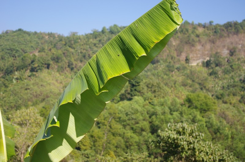 Hills in Bandarbans (3).jpg