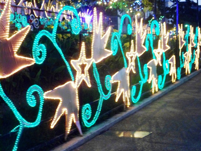 Los Alumbrados - Christmas Lights - Plaza Altamira.jpg