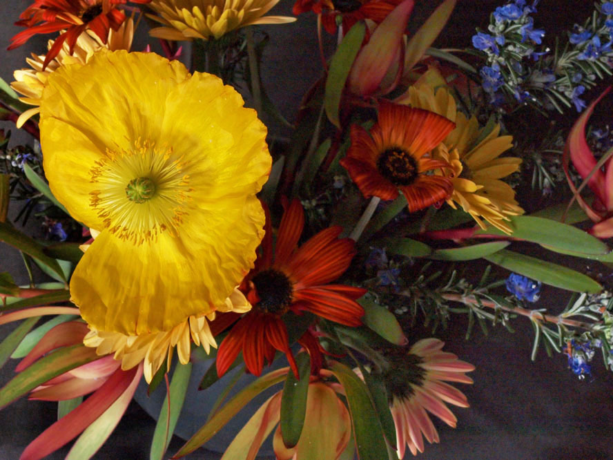Dying flowers in a black rubber vase at sunset